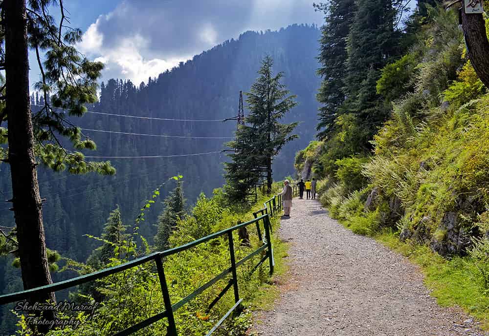 Dunga Gali Attractions Things to do in